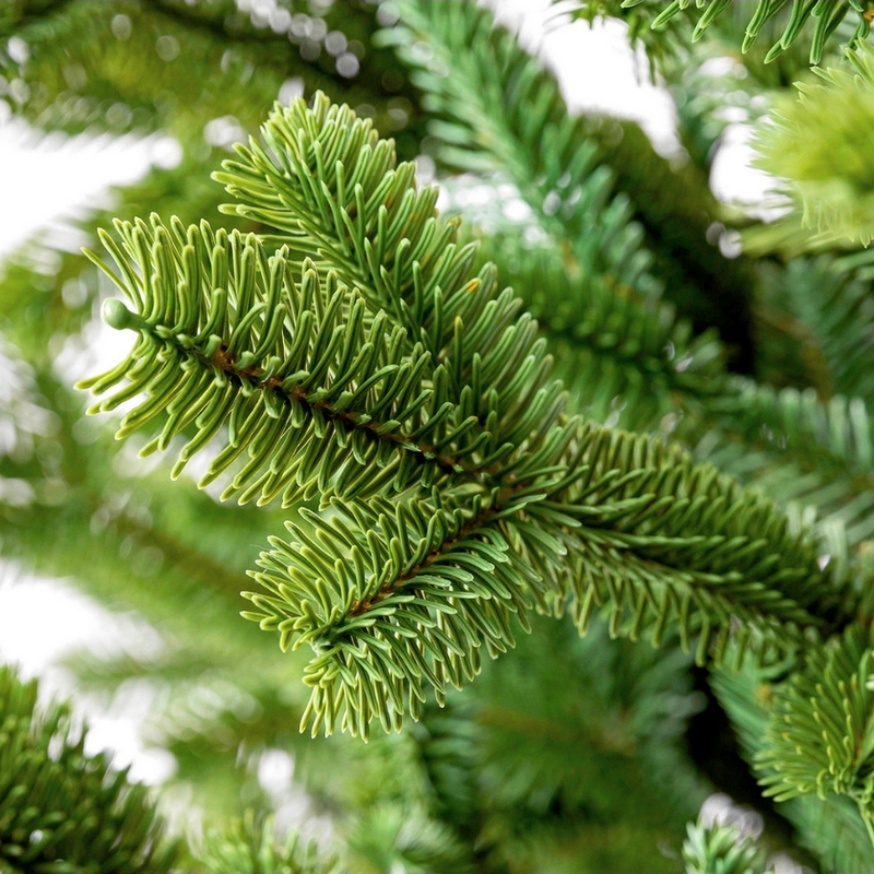 Sapin De Noël Artificiel 1m80 CROFTON Sapin De Noël Artificiel 1m80 CROFTON