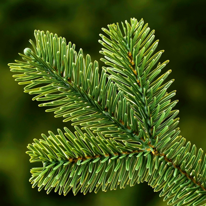 Sapin De Noël Artificiel 1m80 CROFTON Sapin De Noël Artificiel 1m80 CROFTON